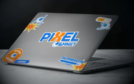 pixel_&_mngt_branding_project